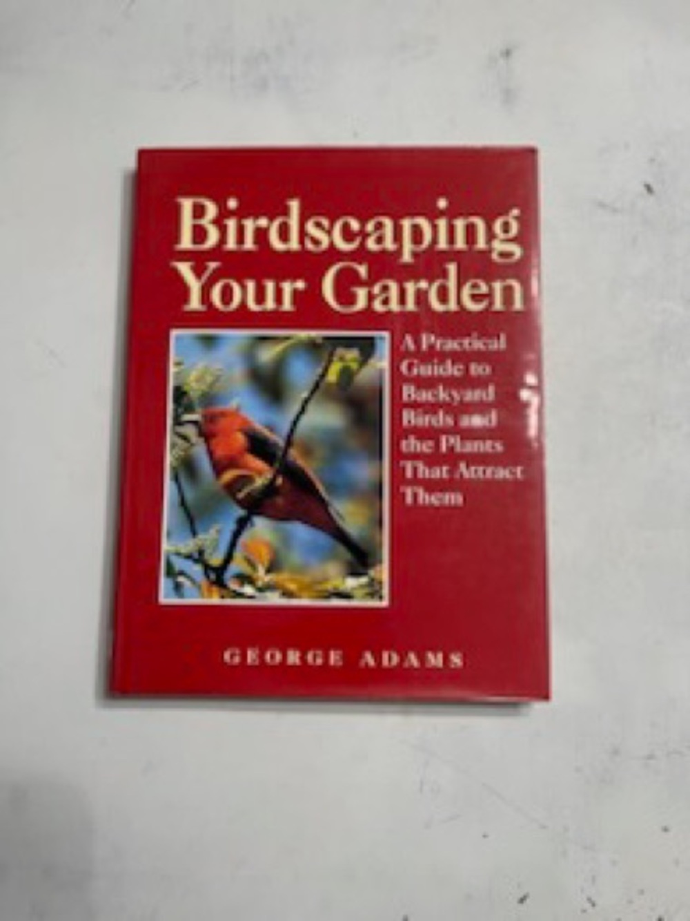 Birdscaping Your Garden -